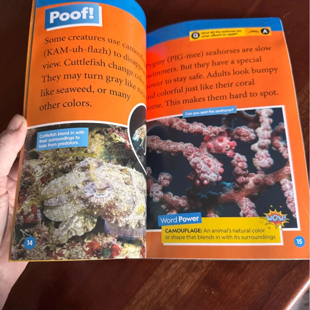 Usborne Shine a Light + Natl Geographic Book Bundle | Homeschool Science | 3 Bks - Picture 3 of 7